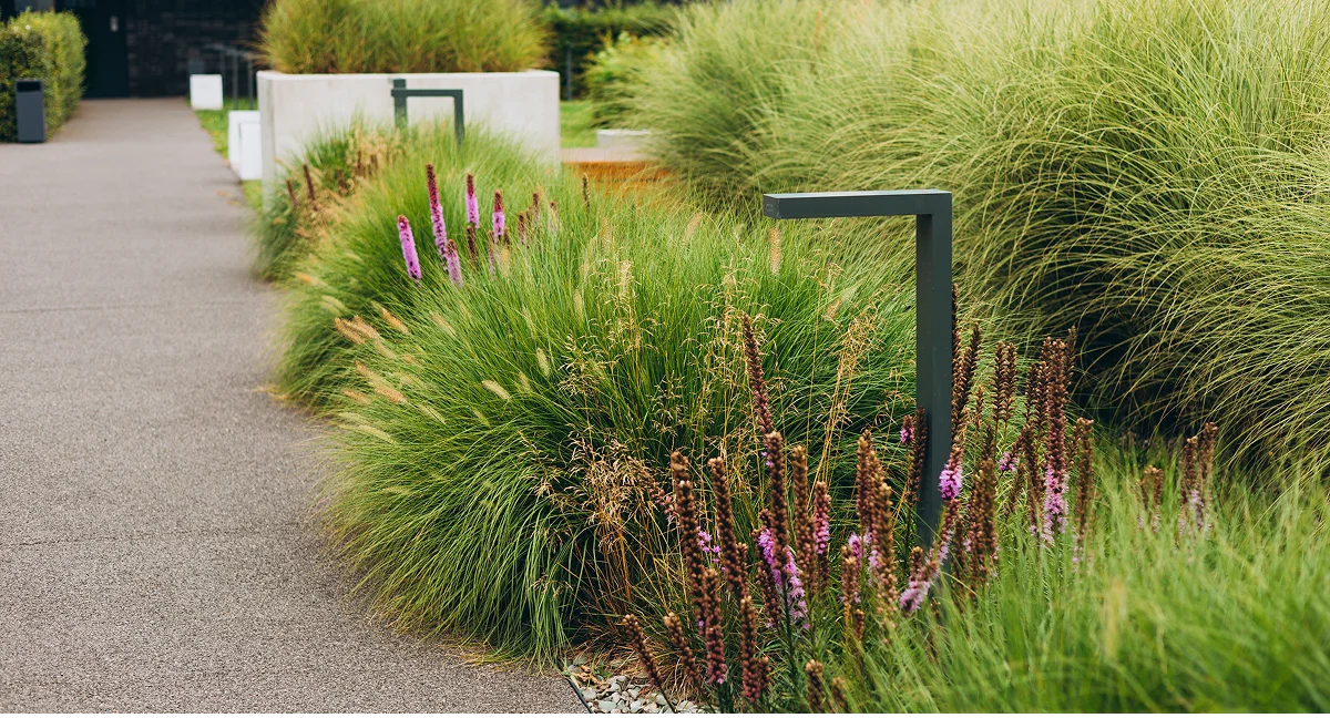 Парковые светильники